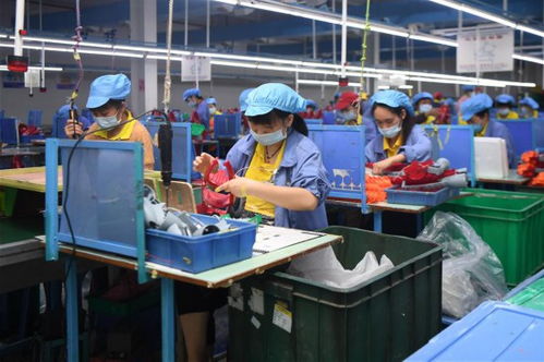 玩具到電子產品 一條通往脫貧致富的創新之路